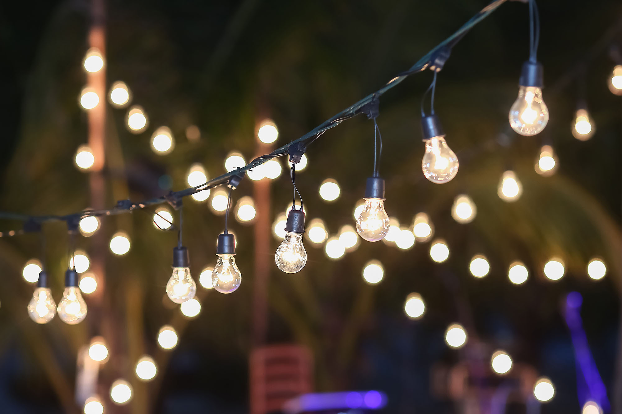 Rent Edison Patio String Lights –
