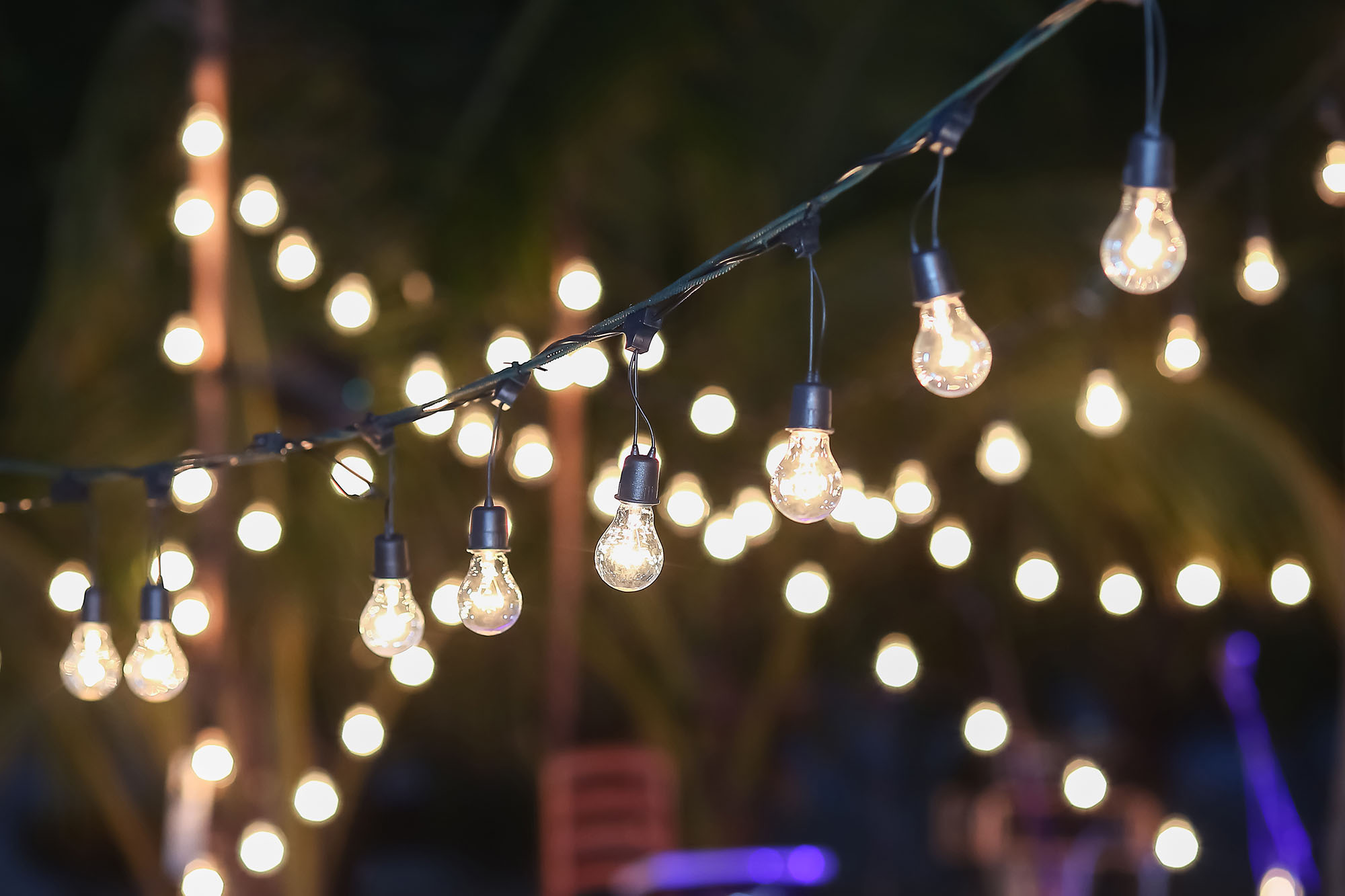 Black Edison String Tent Lighting - Atlanta Party Rentals